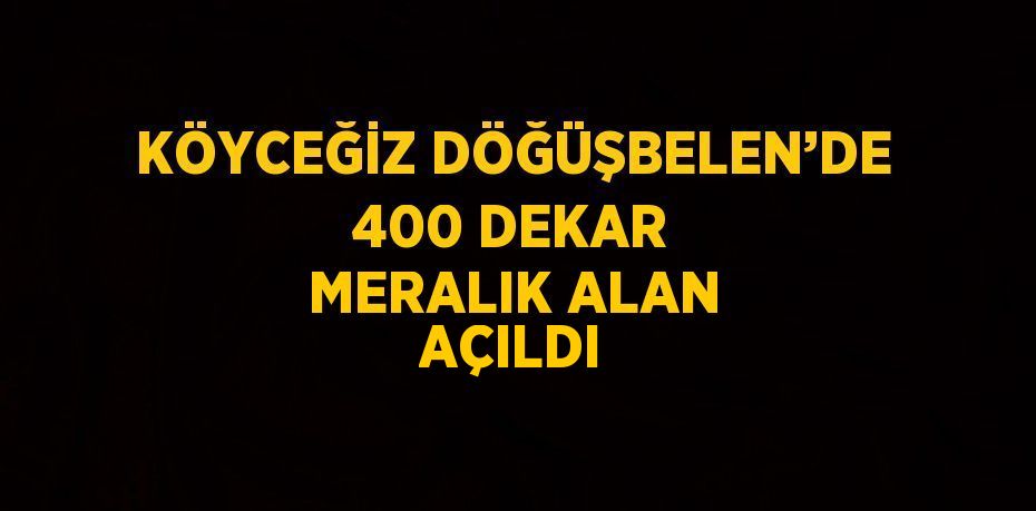 KÖYCEĞİZ DÖĞÜŞBELEN’DE 400 DEKAR MERALIK ALAN AÇILDI
