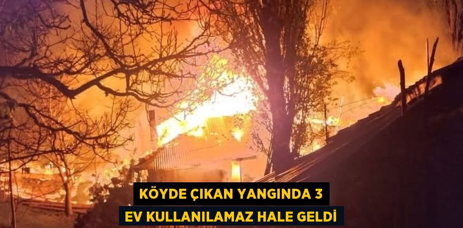 KÖYDE ÇIKAN YANGINDA 3 EV KULLANILAMAZ HALE GELDİ