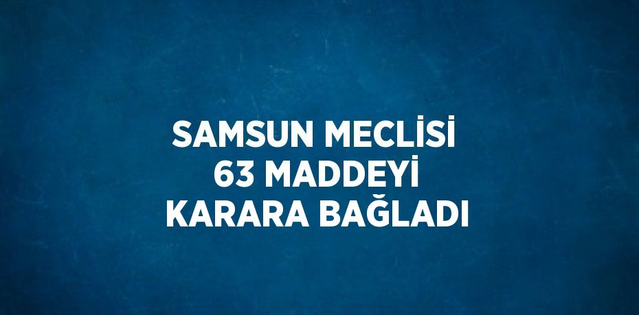 SAMSUN MECLİSİ 63 MADDEYİ KARARA BAĞLADI