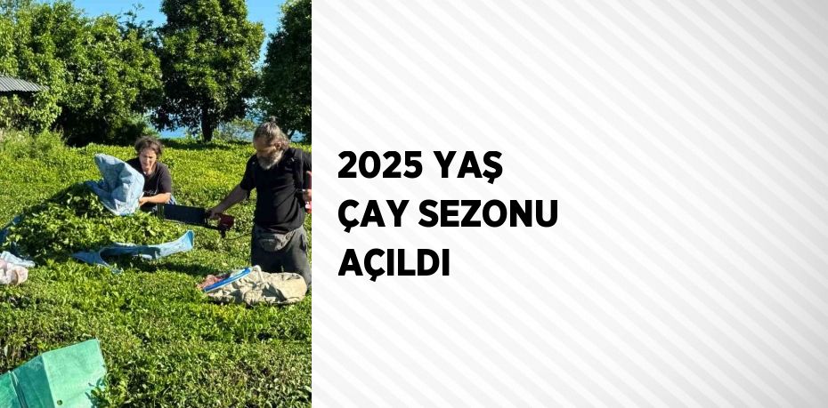 2025 YAŞ ÇAY SEZONU AÇILDI