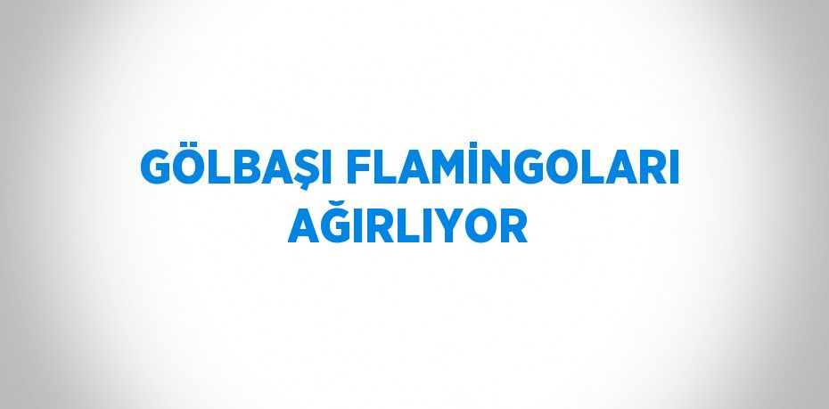 GÖLBAŞI FLAMİNGOLARI AĞIRLIYOR