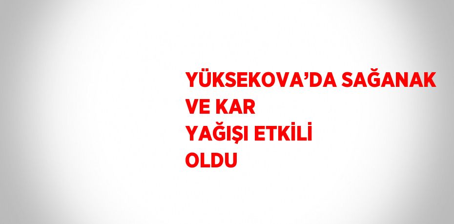YÜKSEKOVA’DA SAĞANAK VE KAR YAĞIŞI ETKİLİ OLDU