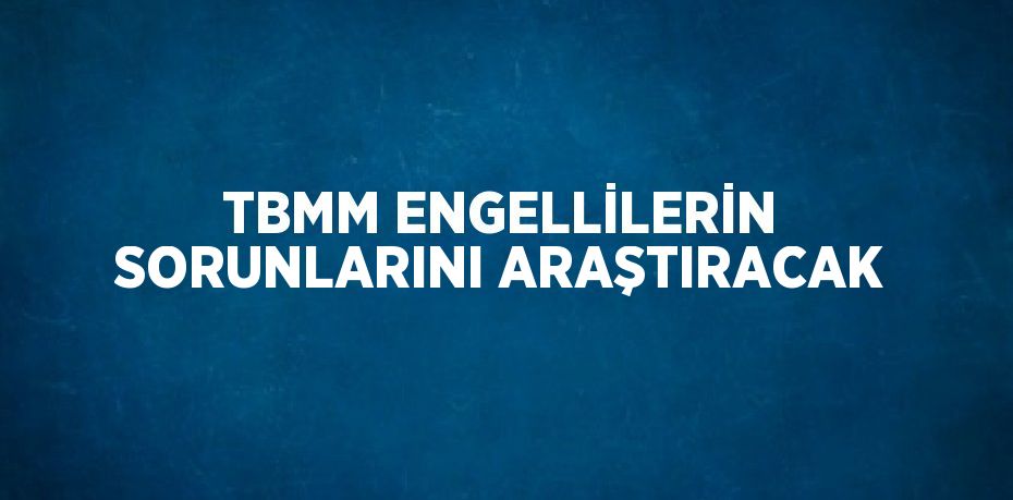 TBMM ENGELLİLERİN SORUNLARINI ARAŞTIRACAK