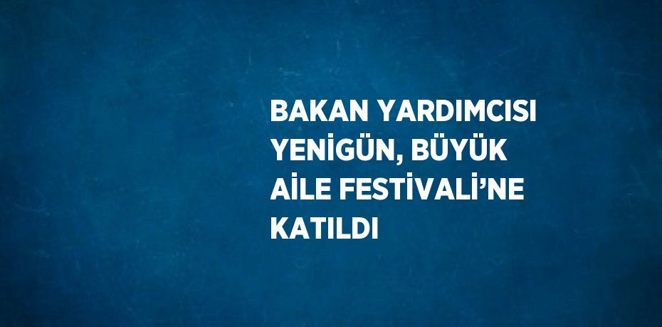 BAKAN YARDIMCISI YENİGÜN, BÜYÜK AİLE FESTİVALİ’NE KATILDI
