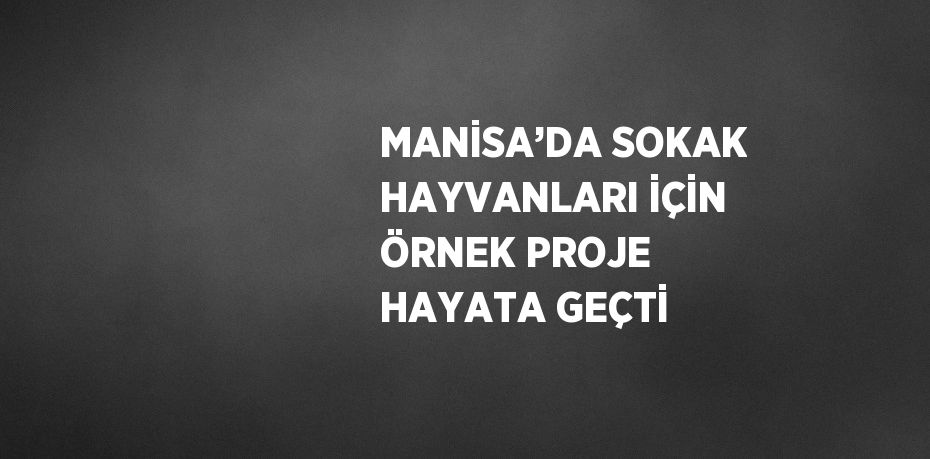 MANİSA’DA SOKAK HAYVANLARI İÇİN ÖRNEK PROJE HAYATA GEÇTİ