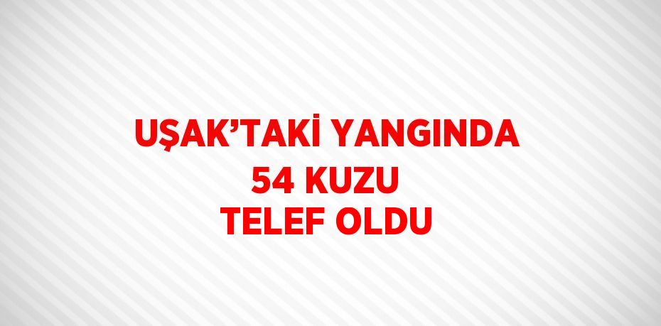 UŞAK’TAKİ YANGINDA 54 KUZU TELEF OLDU