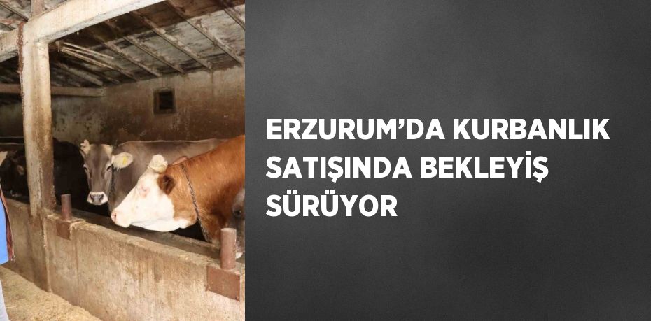 ERZURUM’DA KURBANLIK SATIŞINDA BEKLEYİŞ SÜRÜYOR