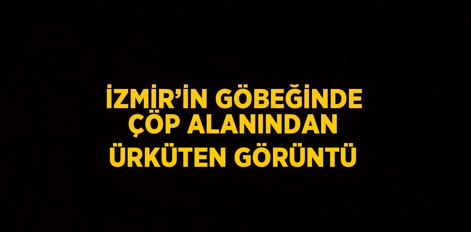 İZMİR’İN GÖBEĞİNDE ÇÖP ALANINDAN ÜRKÜTEN GÖRÜNTÜ