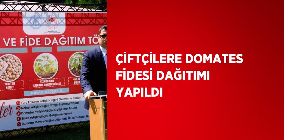 ÇİFTÇİLERE DOMATES FİDESİ DAĞITIMI YAPILDI