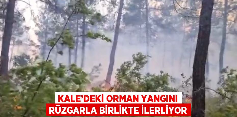 KALE’DEKİ ORMAN YANGINI RÜZGARLA BİRLİKTE İLERLİYOR
