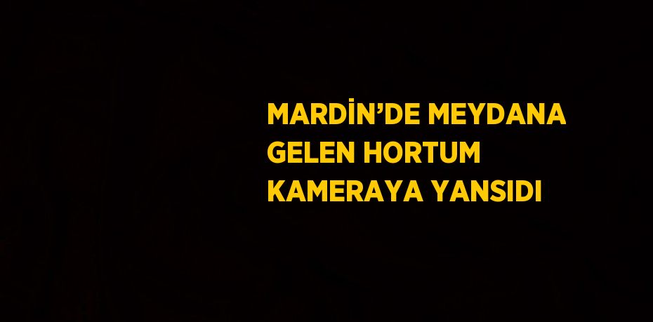 MARDİN’DE MEYDANA GELEN HORTUM KAMERAYA YANSIDI