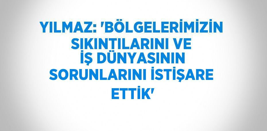 YILMAZ: 'BÖLGELERİMİZİN SIKINTILARINI VE İŞ DÜNYASININ SORUNLARINI İSTİŞARE ETTİK'