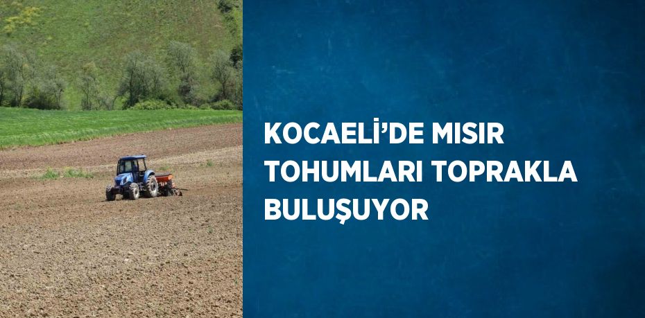 KOCAELİ’DE MISIR TOHUMLARI TOPRAKLA BULUŞUYOR