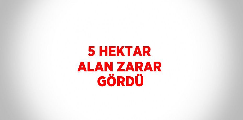 5 HEKTAR ALAN ZARAR GÖRDÜ