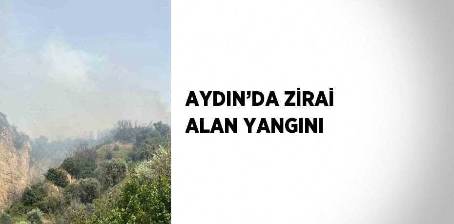 AYDIN’DA ZİRAİ ALAN YANGINI