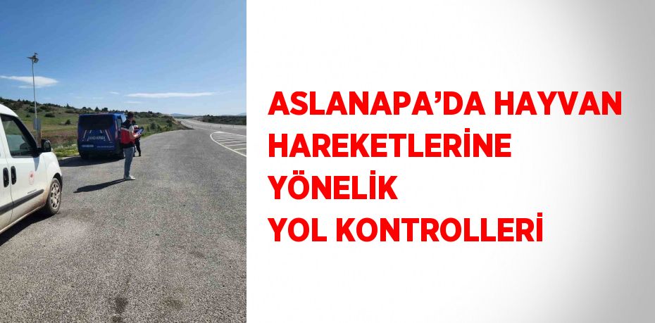 ASLANAPA’DA HAYVAN HAREKETLERİNE YÖNELİK YOL KONTROLLERİ