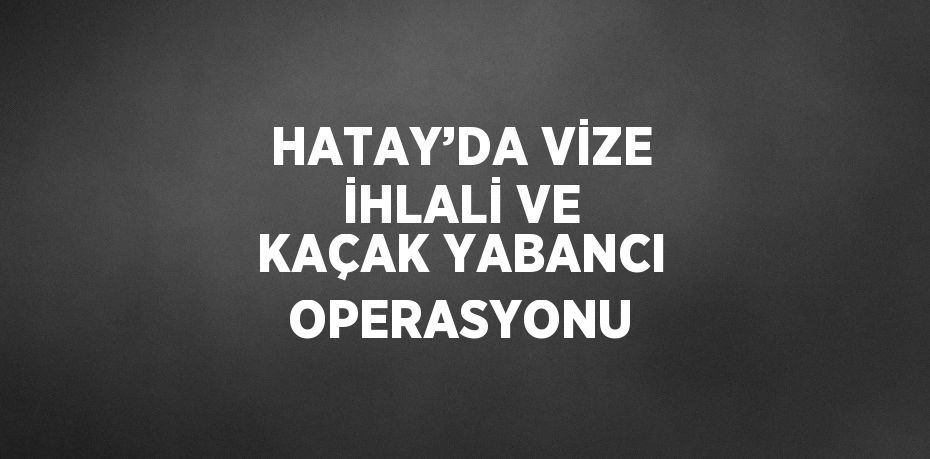 HATAY’DA VİZE İHLALİ VE KAÇAK YABANCI OPERASYONU