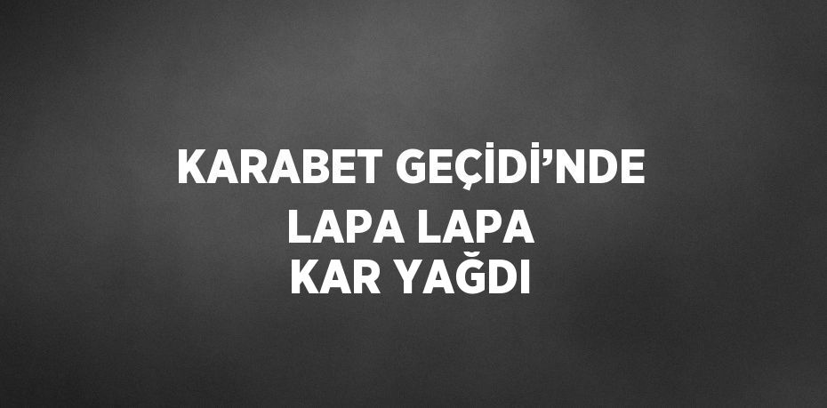 KARABET GEÇİDİ’NDE LAPA LAPA KAR YAĞDI