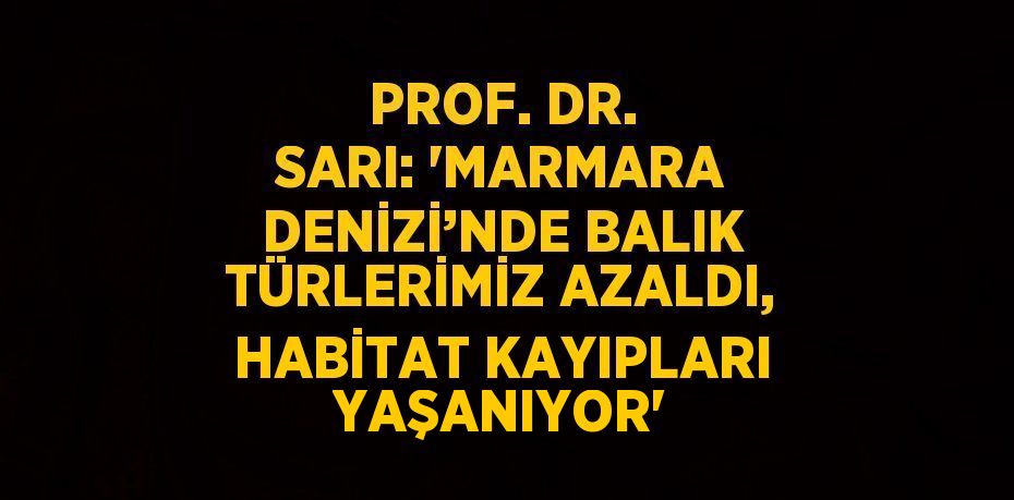 PROF. DR. SARI: 'MARMARA DENİZİ’NDE BALIK TÜRLERİMİZ AZALDI, HABİTAT KAYIPLARI YAŞANIYOR'