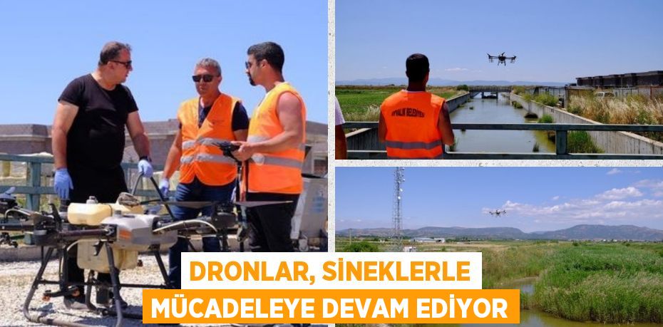 DRONLAR, SİNEKLERLE MÜCADELEYE DEVAM EDİYOR