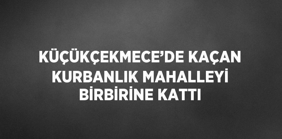 KÜÇÜKÇEKMECE’DE KAÇAN KURBANLIK MAHALLEYİ BİRBİRİNE KATTI