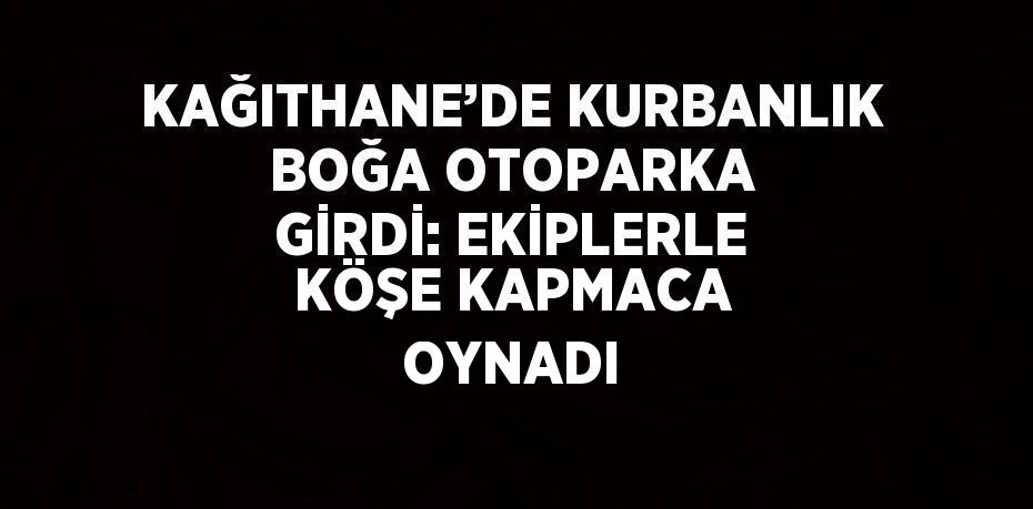 KAĞITHANE’DE KURBANLIK BOĞA OTOPARKA GİRDİ: EKİPLERLE KÖŞE KAPMACA OYNADI