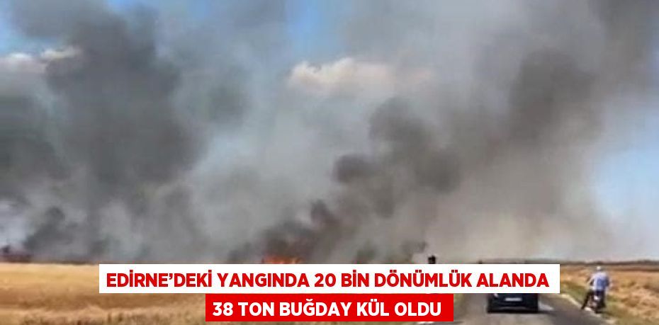 EDİRNE’DEKİ YANGINDA 20 BİN DÖNÜMLÜK ALANDA 38 TON BUĞDAY KÜL OLDU