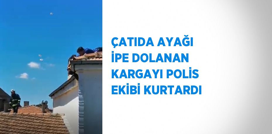 ÇATIDA AYAĞI İPE DOLANAN KARGAYI POLİS EKİBİ KURTARDI