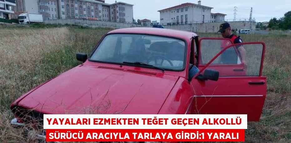 YAYALARI EZMEKTEN TEĞET GEÇEN ALKOLLÜ SÜRÜCÜ ARACIYLA TARLAYA GİRDİ:1 YARALI