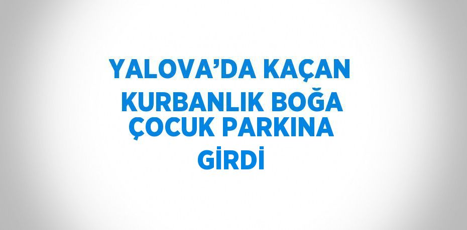 YALOVA’DA KAÇAN KURBANLIK BOĞA ÇOCUK PARKINA GİRDİ