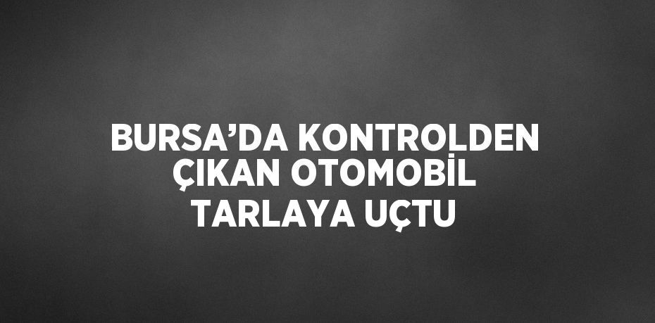 BURSA’DA KONTROLDEN ÇIKAN OTOMOBİL TARLAYA UÇTU