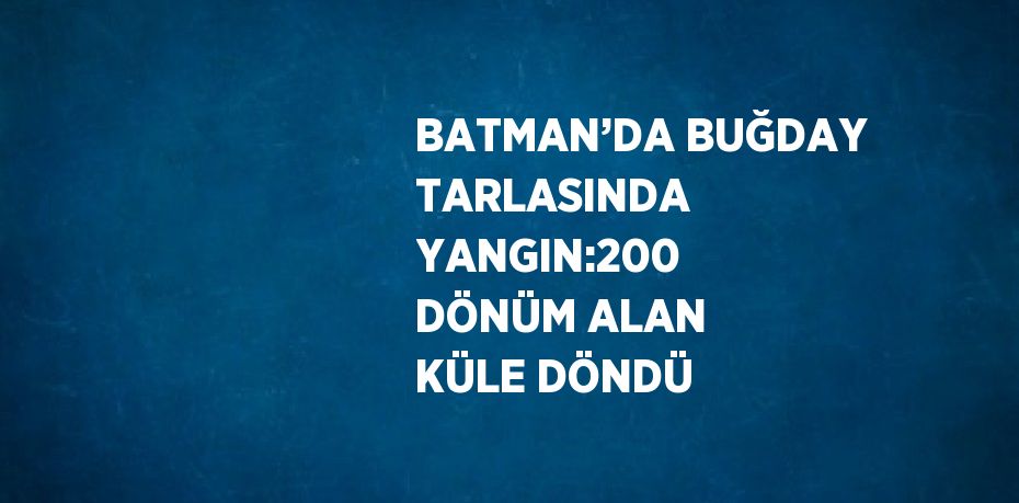 BATMAN’DA BUĞDAY TARLASINDA YANGIN:200 DÖNÜM ALAN KÜLE DÖNDÜ