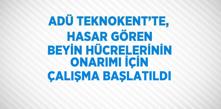 ADÜ TEKNOKENT’TE, HASAR GÖREN BEYİN HÜCRELERİNİN ONARIMI İÇİN ÇALIŞMA BAŞLATILDI