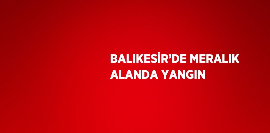 BALIKESİR’DE MERALIK ALANDA YANGIN