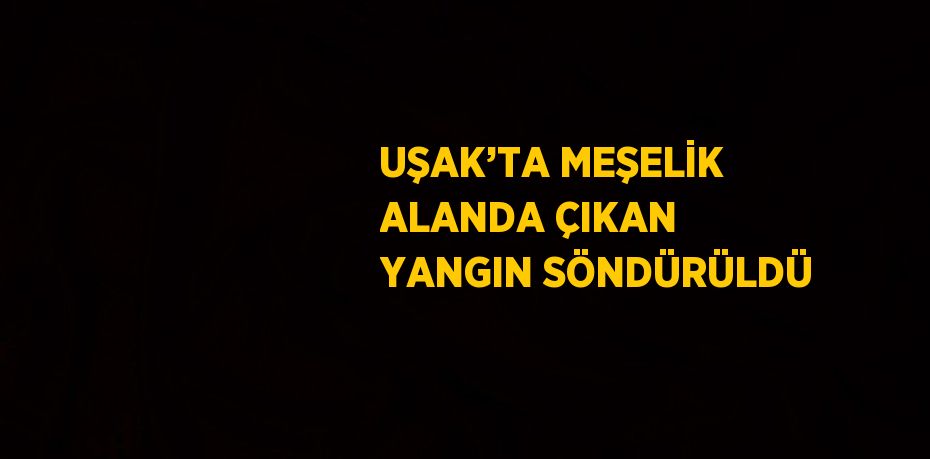UŞAK’TA MEŞELİK ALANDA ÇIKAN YANGIN SÖNDÜRÜLDÜ