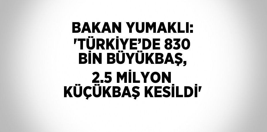 BAKAN YUMAKLI: 'TÜRKİYE’DE 830 BİN BÜYÜKBAŞ, 2.5 MİLYON KÜÇÜKBAŞ KESİLDİ'