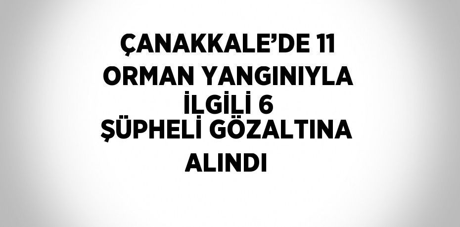 ÇANAKKALE’DE 11 ORMAN YANGINIYLA İLGİLİ 6 ŞÜPHELİ GÖZALTINA ALINDI