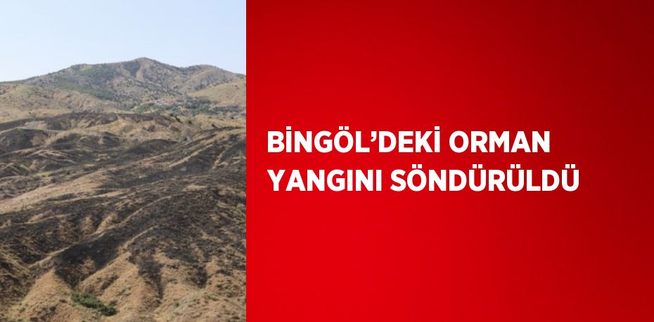 BİNGÖL’DEKİ ORMAN YANGINI SÖNDÜRÜLDÜ