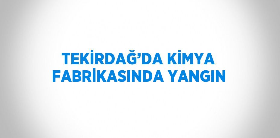 TEKİRDAĞ’DA KİMYA FABRİKASINDA YANGIN