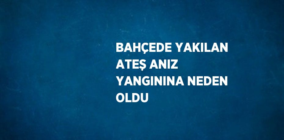 BAHÇEDE YAKILAN ATEŞ ANIZ YANGININA NEDEN OLDU