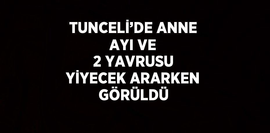 TUNCELİ’DE ANNE AYI VE 2 YAVRUSU YİYECEK ARARKEN GÖRÜLDÜ