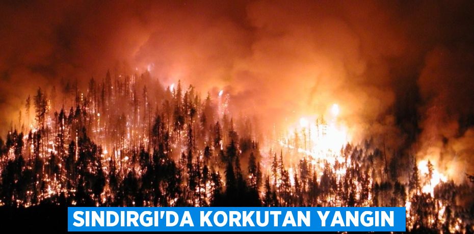 Sındırgı’da korkutan yangın