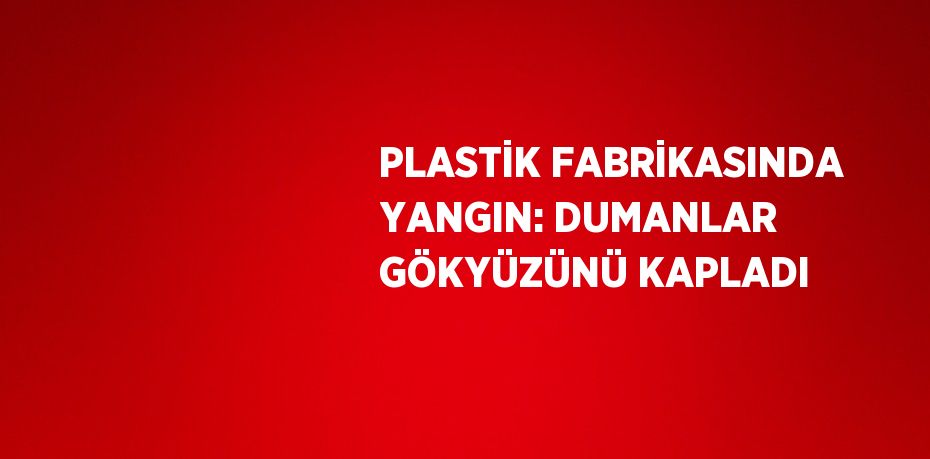 PLASTİK FABRİKASINDA YANGIN: DUMANLAR GÖKYÜZÜNÜ KAPLADI
