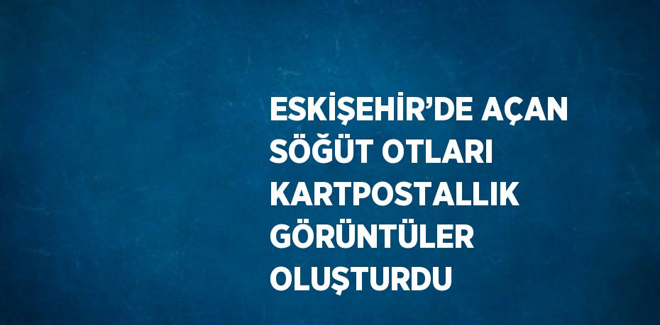 ESKİŞEHİR’DE AÇAN SÖĞÜT OTLARI KARTPOSTALLIK GÖRÜNTÜLER OLUŞTURDU