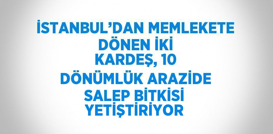İSTANBUL’DAN MEMLEKETE DÖNEN İKİ KARDEŞ, 10 DÖNÜMLÜK ARAZİDE SALEP BİTKİSİ YETİŞTİRİYOR