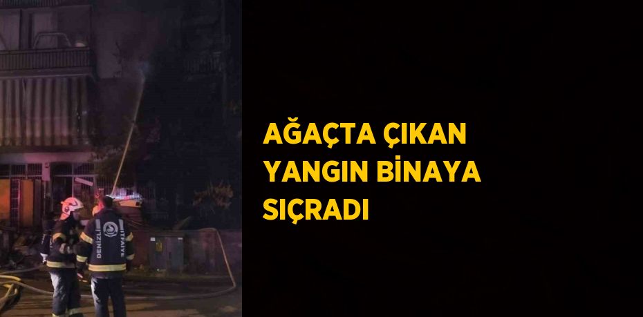 AĞAÇTA ÇIKAN YANGIN BİNAYA SIÇRADI