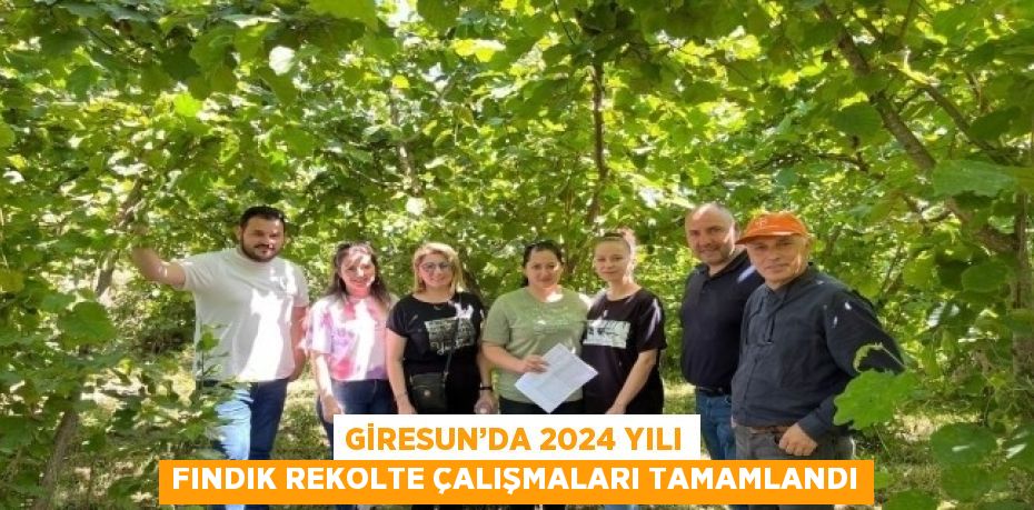 GİRESUN’DA 2024 YILI FINDIK REKOLTE ÇALIŞMALARI TAMAMLANDI