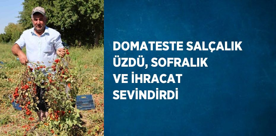 DOMATESTE SALÇALIK ÜZDÜ, SOFRALIK VE İHRACAT SEVİNDİRDİ