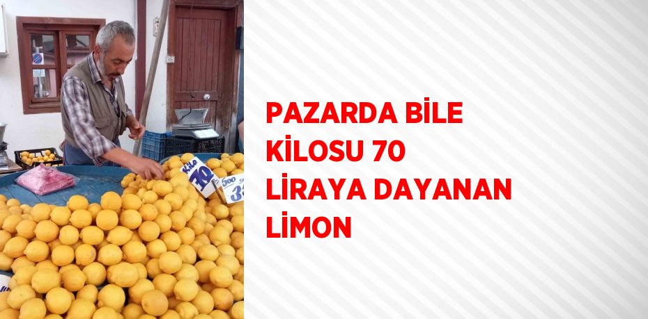 PAZARDA BİLE KİLOSU 70 LİRAYA DAYANAN LİMON