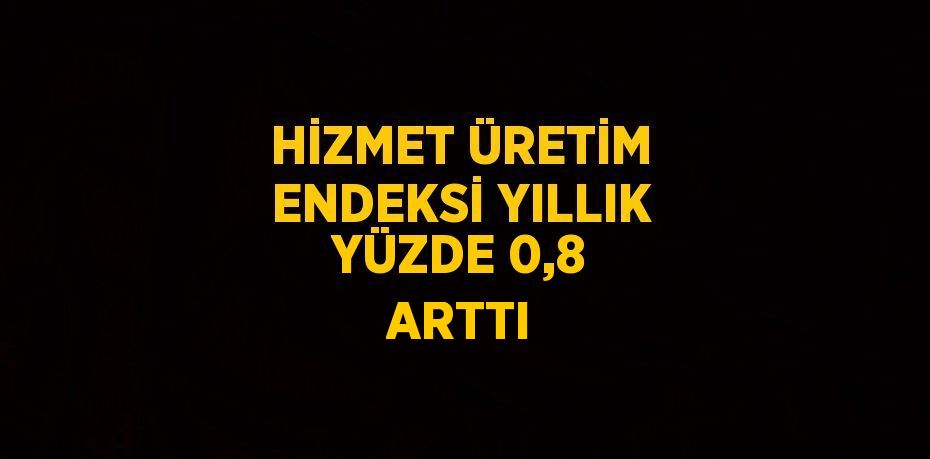 HİZMET ÜRETİM ENDEKSİ YILLIK YÜZDE 0,8 ARTTI